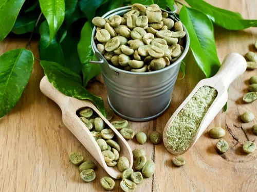 green coffee bean extract 500x500 1